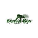 Bonsai Boy of New York